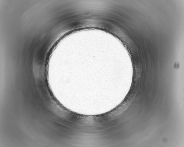 X0000090430828200708102003
