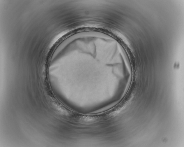 X0000090430829200708102003