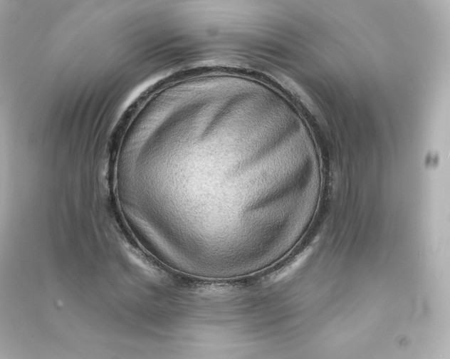 X0000090430830200708102003