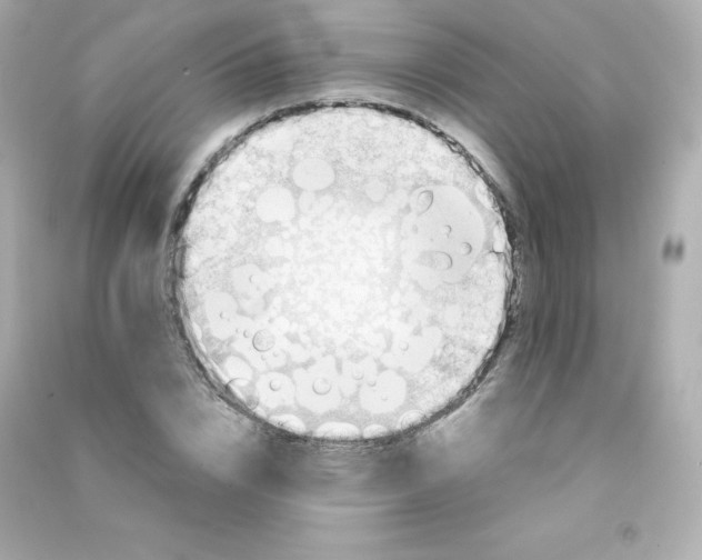 X0000090430832200708102003