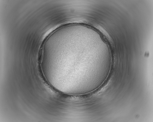X0000090430834200708102003