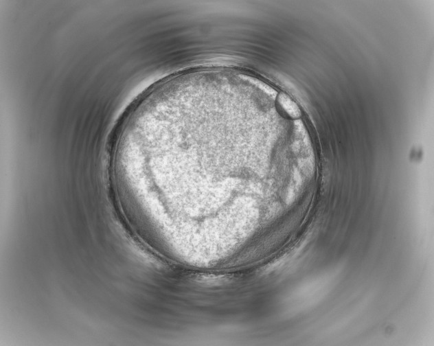 X0000090430835200708102003