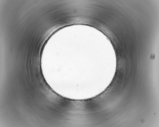X0000090430836200708102003