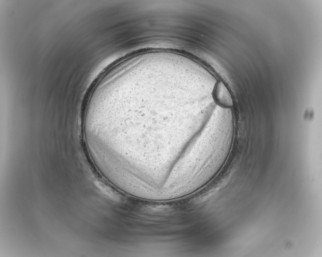 X0000090430837200708102003