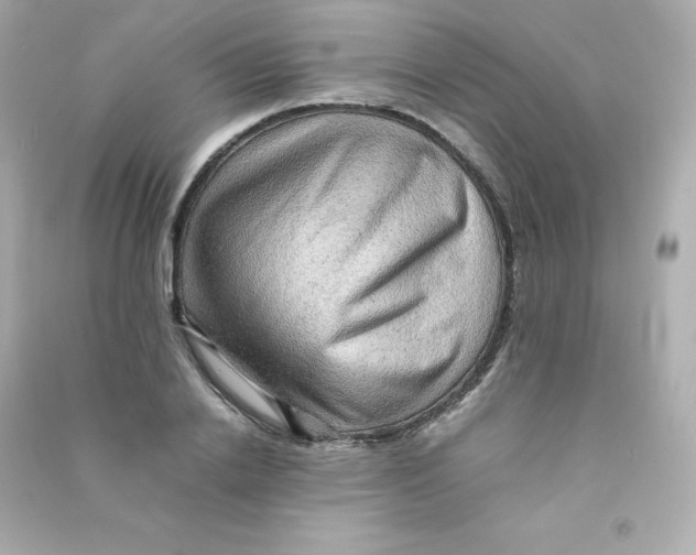 X0000090430838200708102003