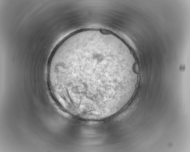 X0000090430839200708102003
