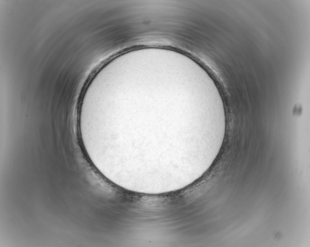 X0000090430840200708102003