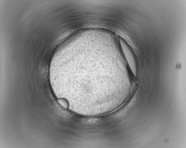 X0000090430841200708102003