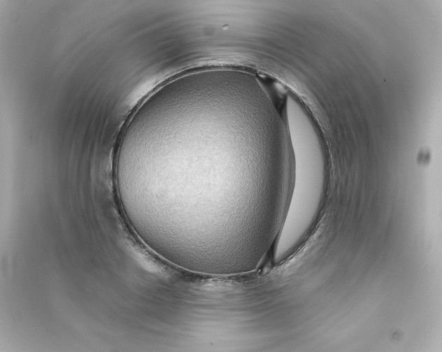 X0000090430842200708102003