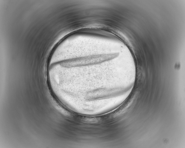 X0000090430843200708102003