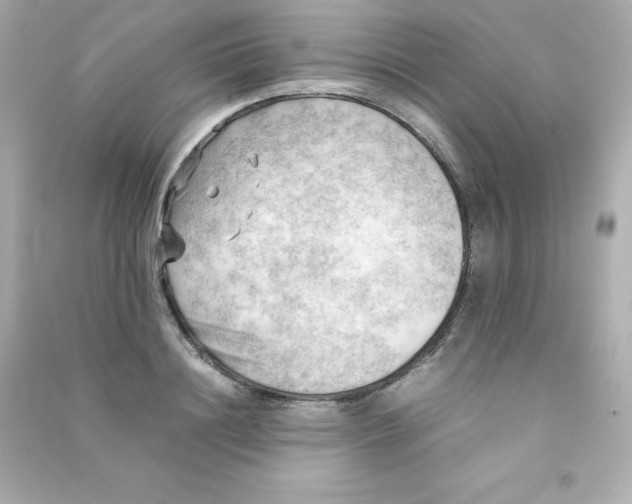 X0000090430844200708102003
