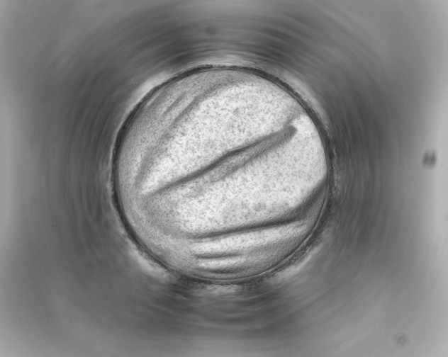 X0000090430845200708102003