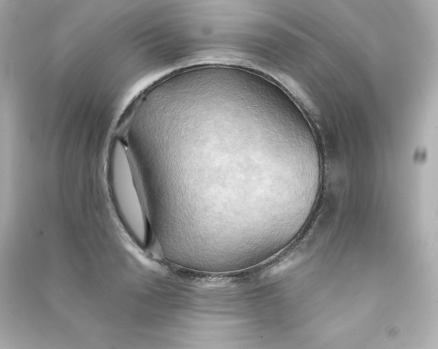 X0000090430846200708102003