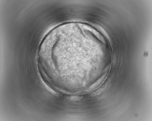 X0000090430847200708102003