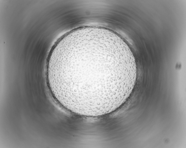 X0000090430848200708102003