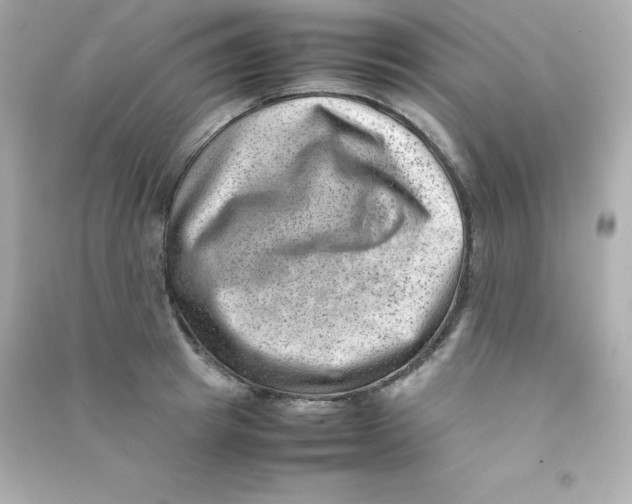 X0000090430849200708102003