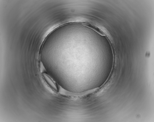 X0000090430850200708102003