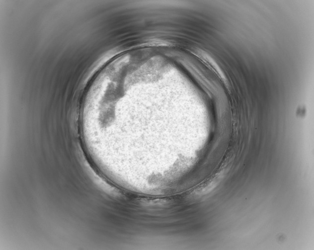 X0000090430851200708102003