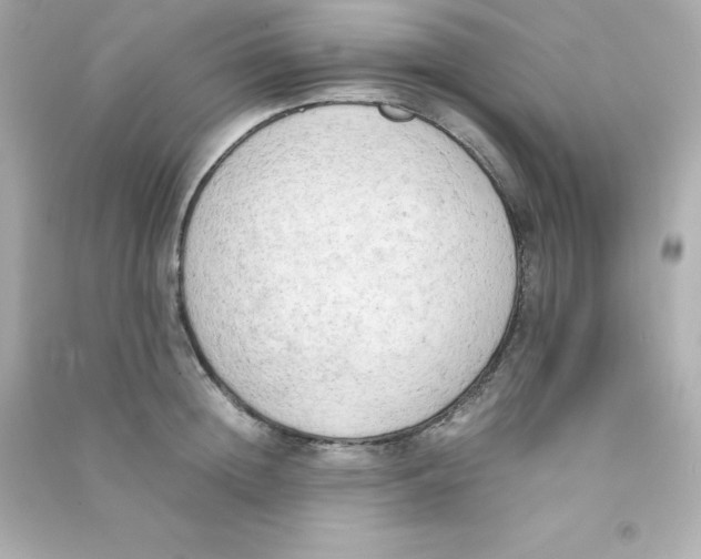 X0000090430852200708102003