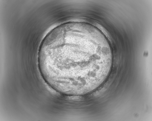 X0000090430853200708102003