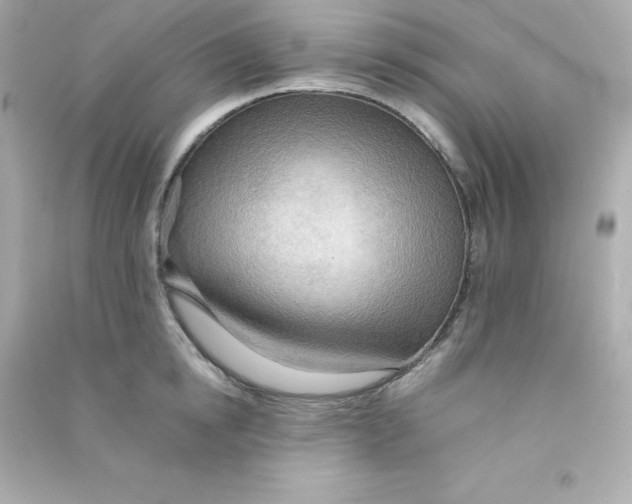 X0000090430854200708102003