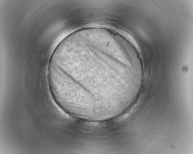 X0000090430855200708102003