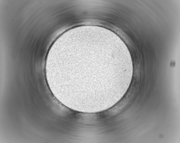 X0000090430856200708102003