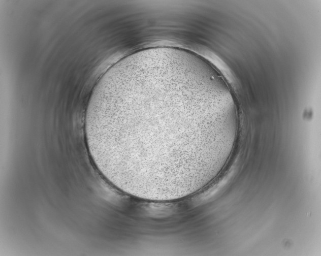 X0000090430857200708102003