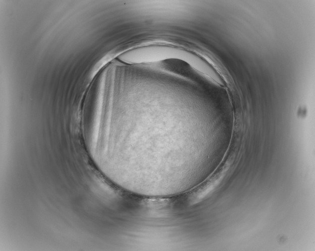 X0000090430858200708102003