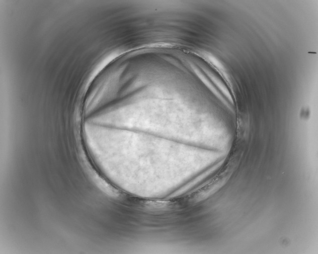 X0000090430859200708102003