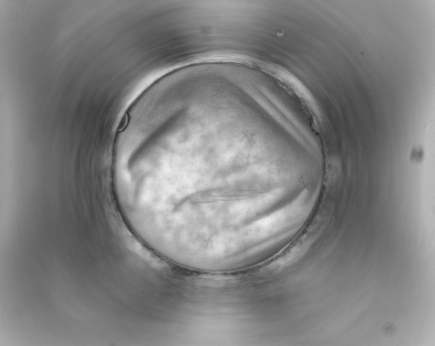 X0000090430860200708102003