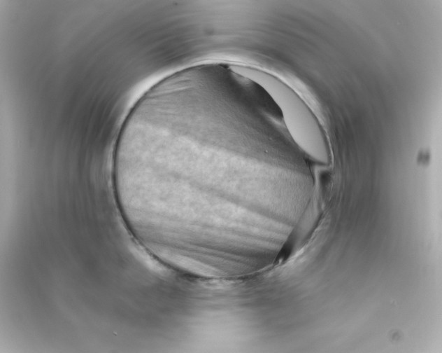 X0000090430862200708102004