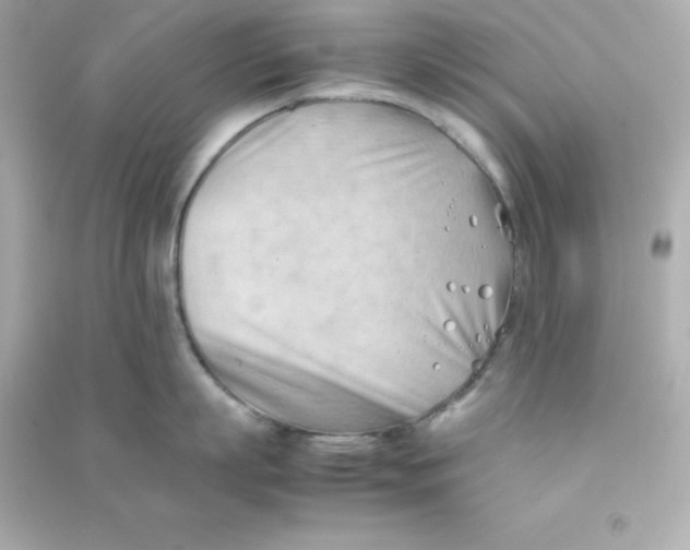 X0000090430863200708102004
