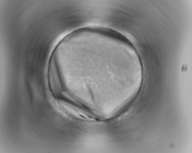 X0000090430864200708102004