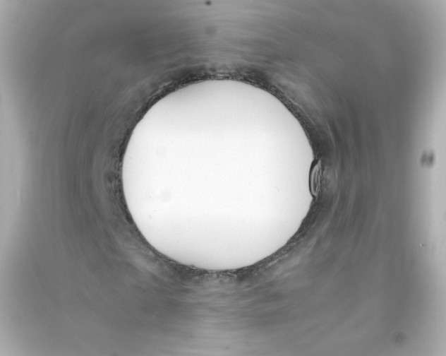 X0000090430865200708102003