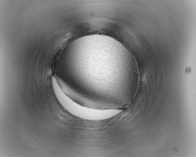 X0000090430868200708102003