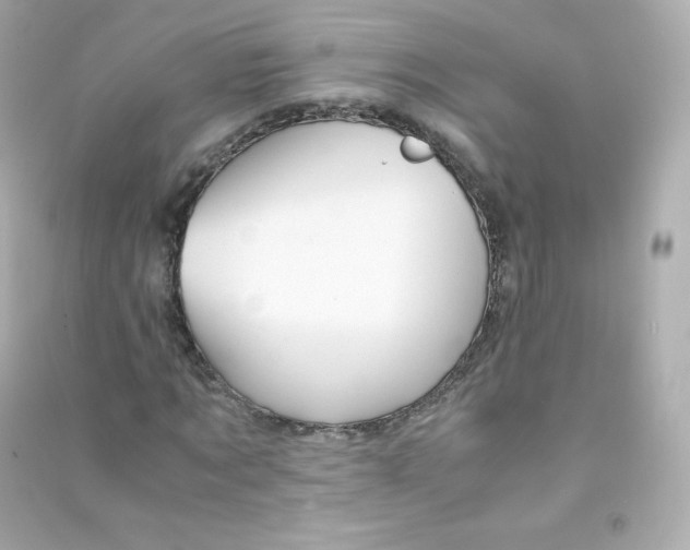 X0000090430869200708102003