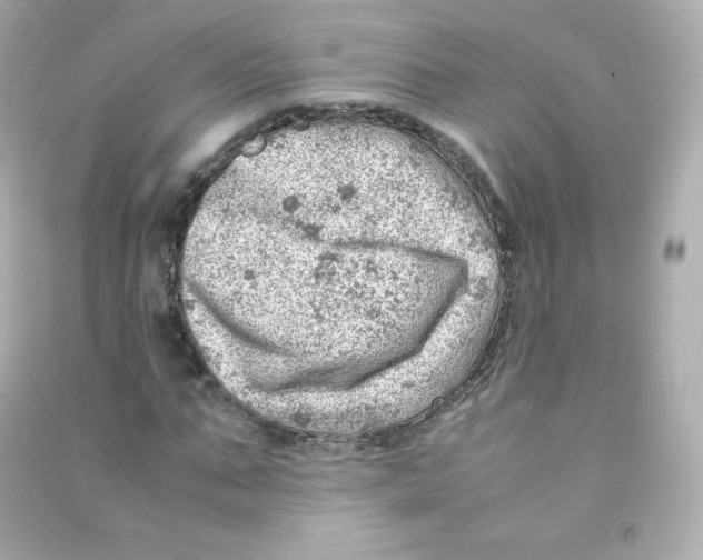 X0000090430871200708102003