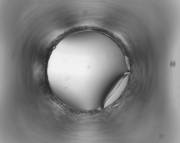 X0000090430872200708102003