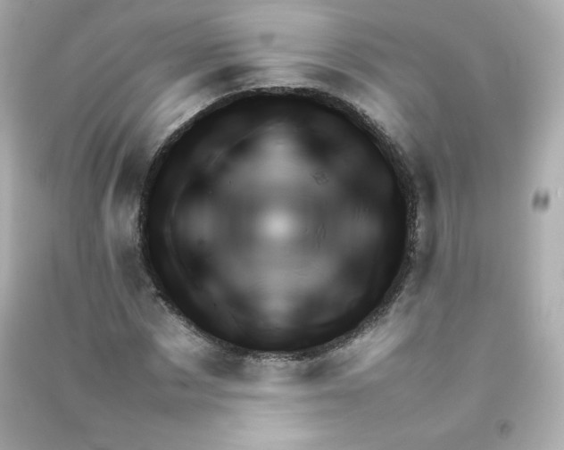 X0000090430873200708102003