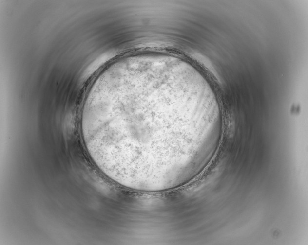 X0000090430874200708102003