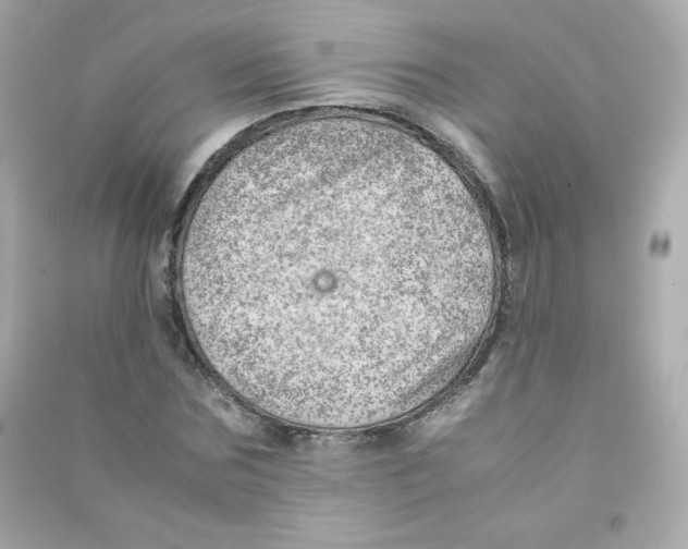 X0000090430875200708102003