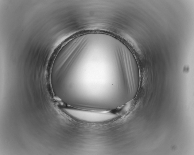 X0000090430876200708102003