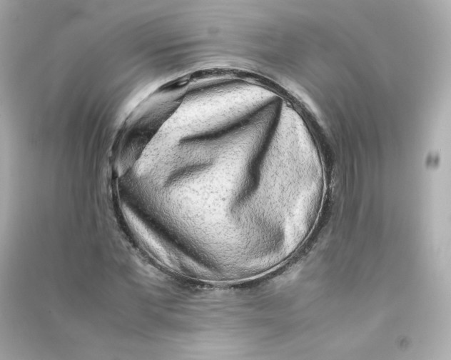 X0000090430877200708102003