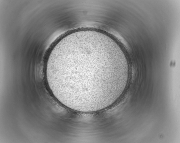 X0000090430878200708102003