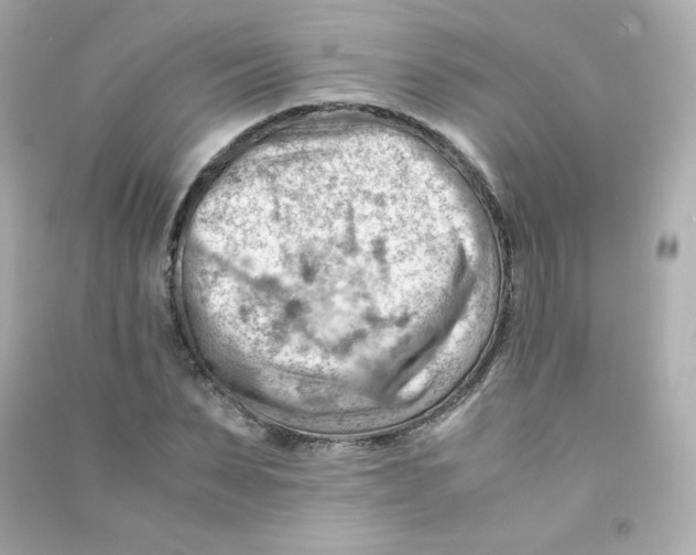 X0000090430879200708102003