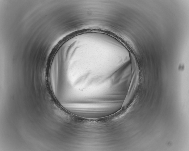 X0000090430880200708102003