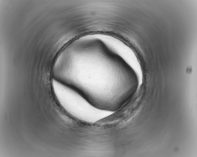X0000090430881200708102003