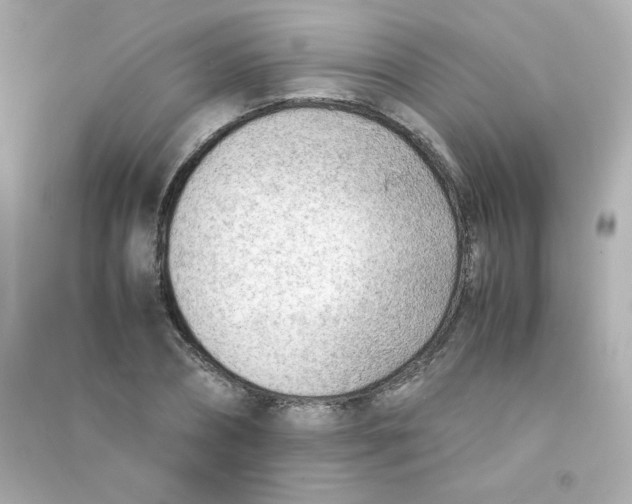 X0000090430882200708102003