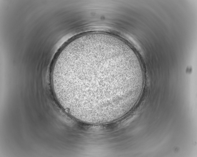 X0000090430883200708102003
